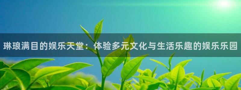 摩臣5平台下载链接：琳琅满目的娱乐天堂：体验多元文化与生活乐趣的娱乐乐园