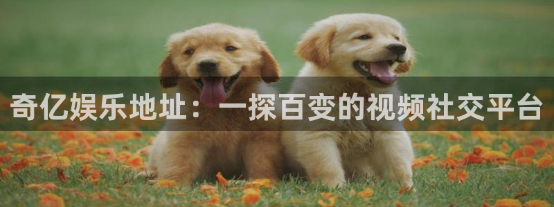 摩臣5平台平台：奇亿娱乐地址：一探百变的视频社交平台