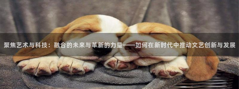 摩臣5平台主管：聚焦艺术与科技：融合的未来与革新的力量——如何在新时代中推动文艺