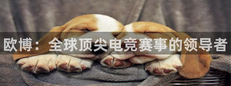 摩臣5平台主管：欧博：全球顶尖电竞赛事的领导者