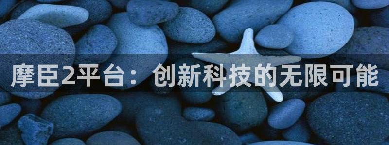 摩臣5平台4代理：摩臣2平台：创新科技的无限可能