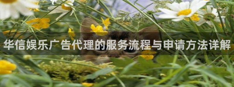 摩臣5平台体育用品：华信娱乐广告代理的服务流程与申请方法详解