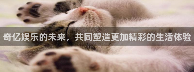 摩臣5平台怎么下载：奇亿娱乐的未来，共同塑造更加精彩的生活体验