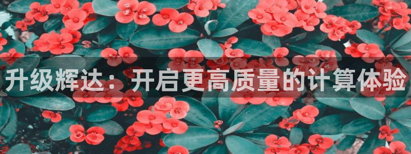 摩臣5平台官方网站：升级辉达：开启更高质量的计算体验