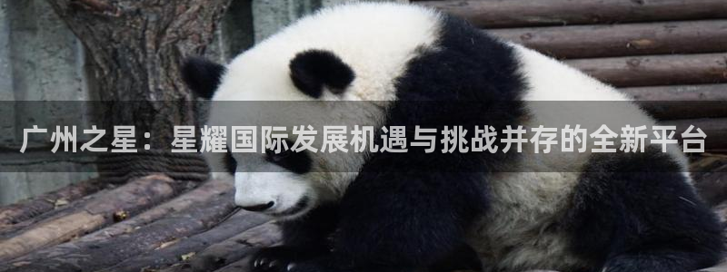 摩臣5平台ccmpc：广州之星：星耀国际发展机遇与挑战并存的全新平台