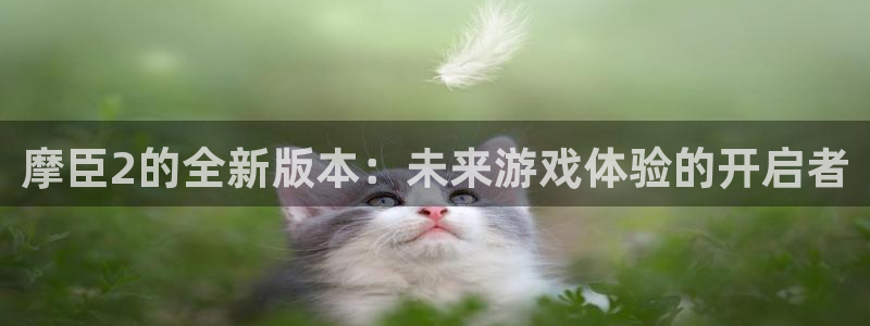 摩臣5平台预测pc在线预测网址：摩臣2的全新版本：未来游戏体验的开启者