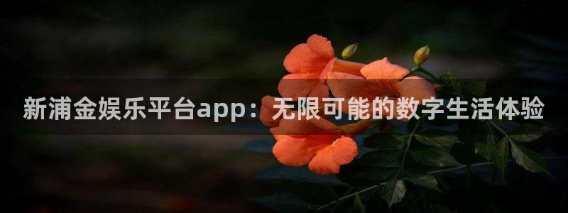 摩臣5平台4代理：新浦金娱乐平台app：无限可能的数字生活体验