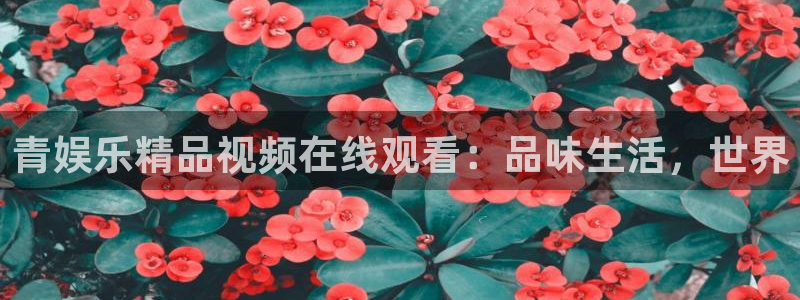 摩臣5平台3代理：青娱乐精品视频在线观看：品味生活，世界