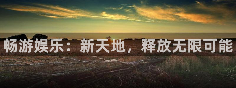 摩臣5平台体育1招商：畅游娱乐：新天地，释放无限可能