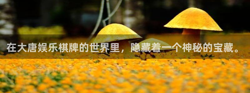 摩臣5平台.ccm苹果版：在大唐娱乐棋牌的世界里，隐藏着一个神秘的宝藏。