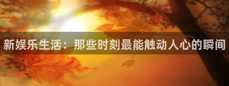 摩臣5平台体育3在线注册：新娱乐生活：那些时刻最能触动人心的瞬间