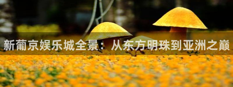 摩臣5平台.ccmpc29官网版下载：新葡京娱乐城全景：从东方明珠到亚洲之巅