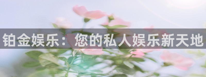 摩臣5平台网站：铂金娱乐：您的私人娱乐新天地