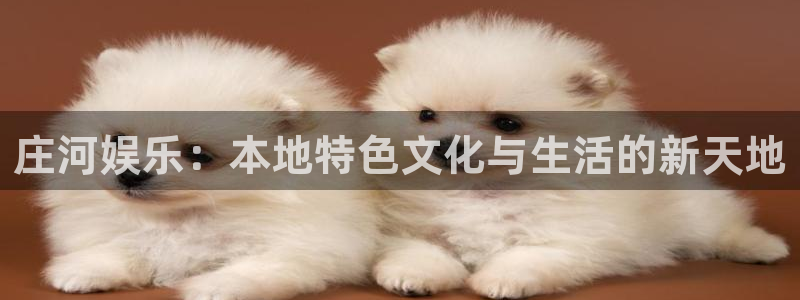 摩臣5平台平台注册入口：庄河娱乐：本地特色文化与生活的新天地