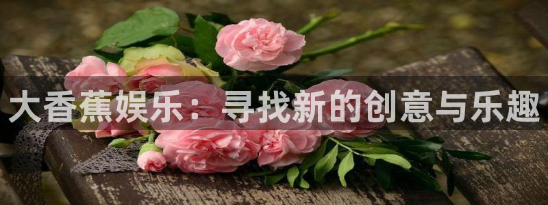 摩臣5平台体育官网登录：大香蕉娱乐：寻找新的创意与乐趣