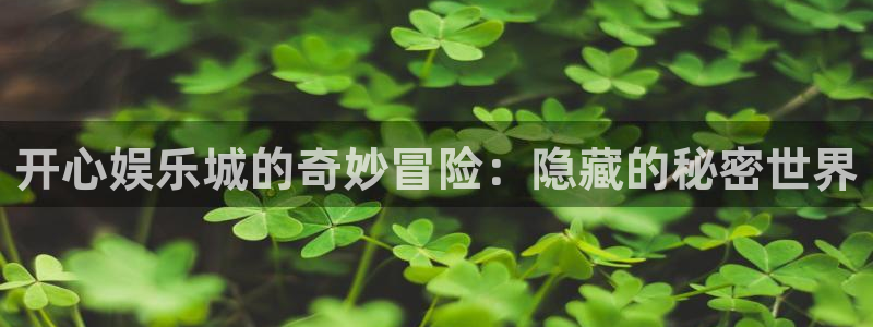 摩臣5平台软件：开心娱乐城的奇妙冒险：隐藏的秘密世界