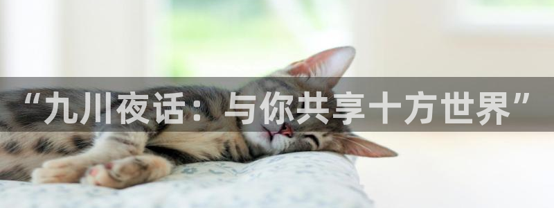 摩臣5平台主管：“九川夜话：与你共享十方世界”