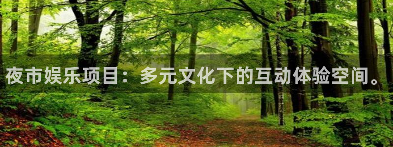 摩臣5平台网页版：夜市娱乐项目：多元文化下的互动体验空间。