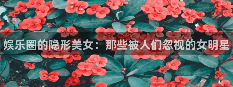 摩臣5平台登录界面入口：娱乐圈的隐形美女：那些被人们忽视的女明星