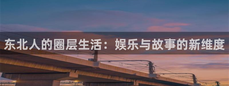 摩臣5平台电玩网官网入口：东北人的圈层生活：娱乐与故事的新维度